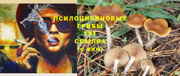 кристаллы Абаза