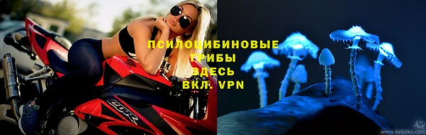 2c-b Алзамай