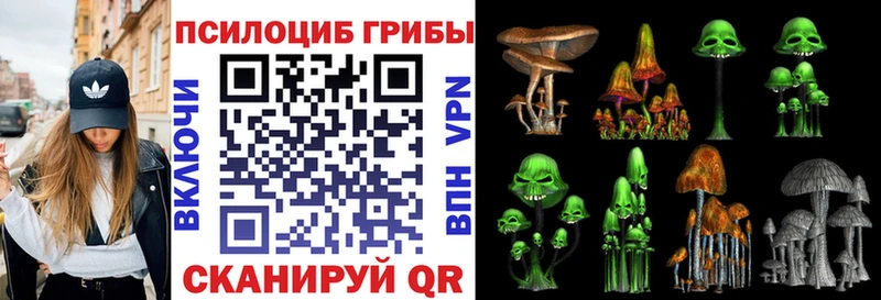 Галлюциногенные грибы ЛСД  магазин продажи наркотиков  Красавино 
